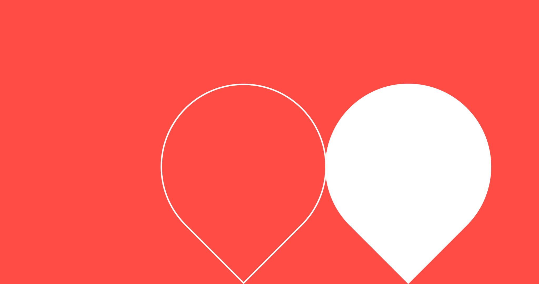 A Heartfelt Love Letter to Essy: Remembering a Life-Changing Cat